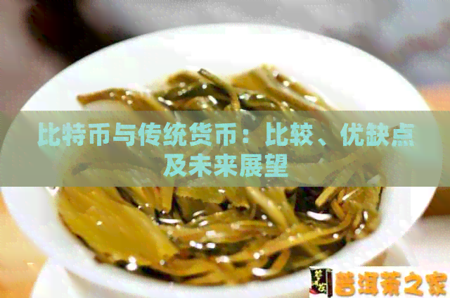 比特币与传统货币的全面比较及未来发展前景分析